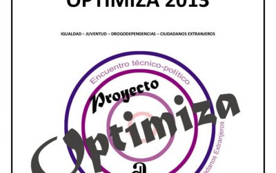 Informe de conclusiones OPTIMIZA 2013