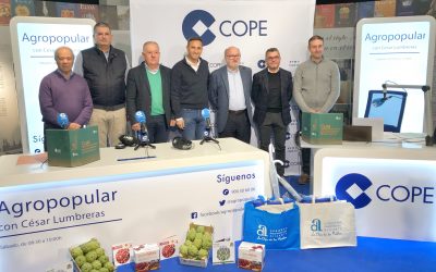 La Diputación de Alicante edita una guía orientativa de cultivos para emprendedores agrícolas de la provincia