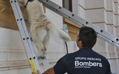 El Consorcio Provincial de Bomberos formalizará en 2020 su Sección Canina dentro del Grupo de Especialistas de Rescate