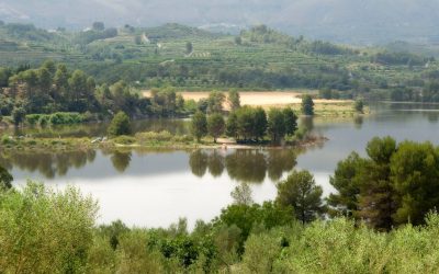 La Diputación ayuda a los ayuntamientos de la provincia a mejorar y proteger sus terrenos y masas forestales