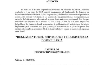 Reglamento de Teleasistencia 2013