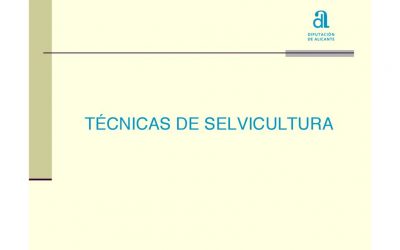 Técnicas de selvicultura