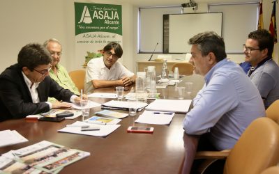 La Diputación respalda las reivindicaciones de ASAJA para que se amplíen las ayudas estatales a las explotaciones agrícolas y pecuarias de la Vega Baja