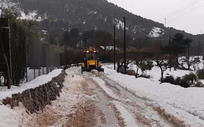 La Diputación de Alicante habilita una partida inmediata de 200.000 euros para la apertura de caminos municipales afectados por la borrasca ‘Gloria’
